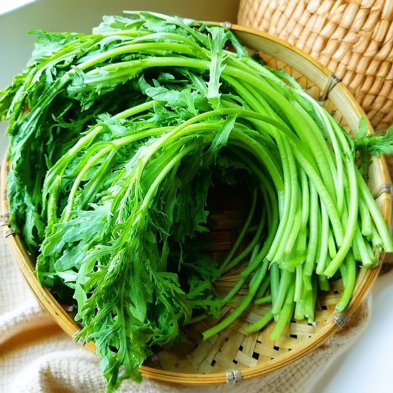 茼蒿300g±30g茼蒿