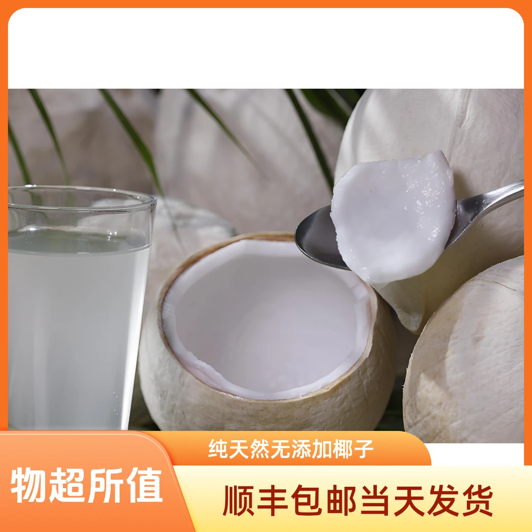 【京东包邮】海南鲜椰皇/海南新鲜椰子 纯天然 0添加
