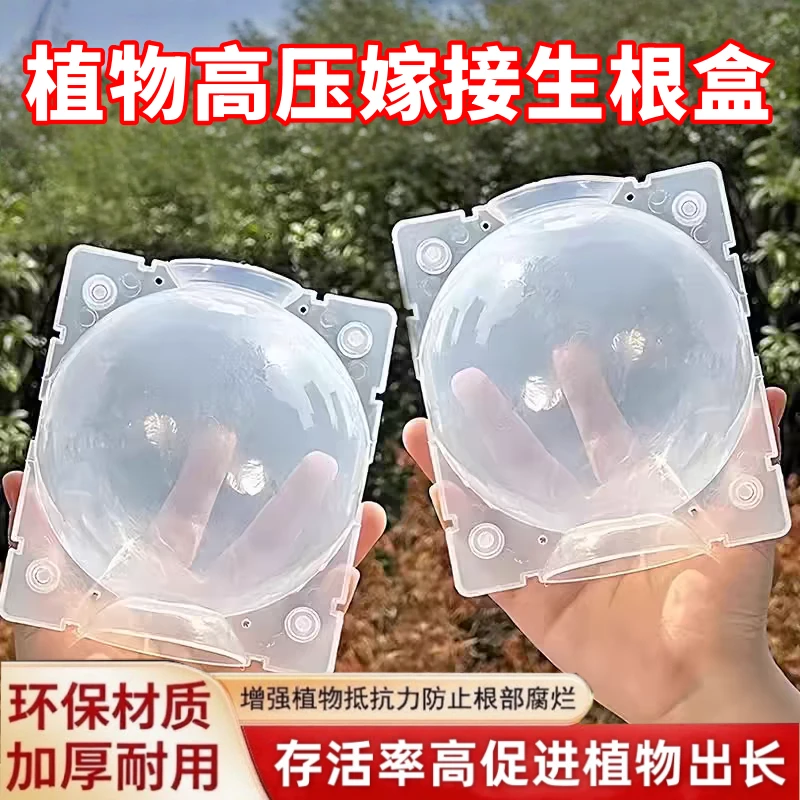 盒繁殖神器用于月季花卉果树嫁接生根包枝