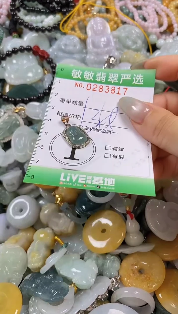 翡翠未镶嵌颈饰闪购0283817多样性发其一