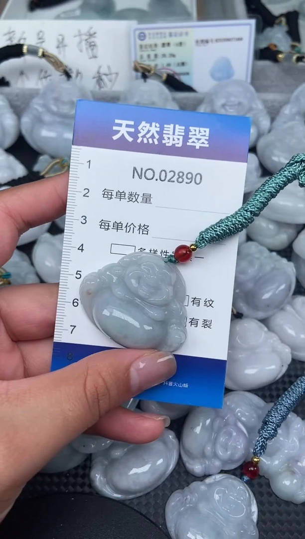 颈饰未镶嵌翡翠纯天然A货翡翠2890