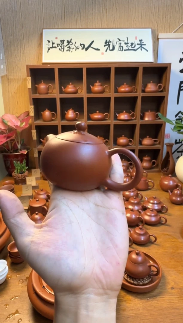 茶壶紫砂雪*潮州原矿朱泥手拉壶西施
