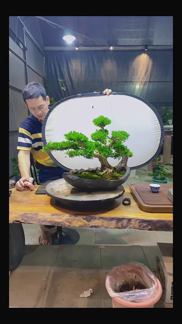 完全开放园****木11111111111