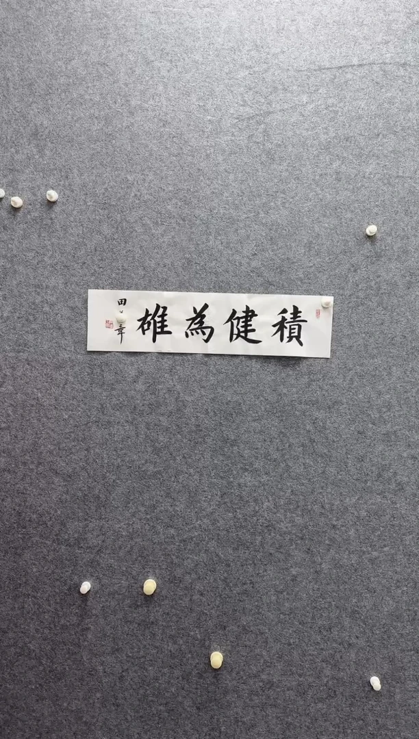 6-25-田老师1平尺书法作品装饰