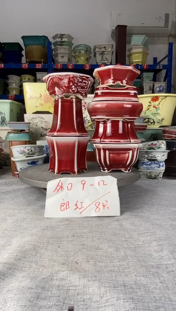 252307八只郎红花盆