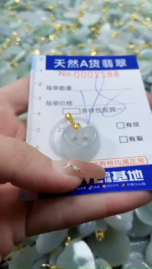 颈饰未镶嵌翡翠天然A货翡翠