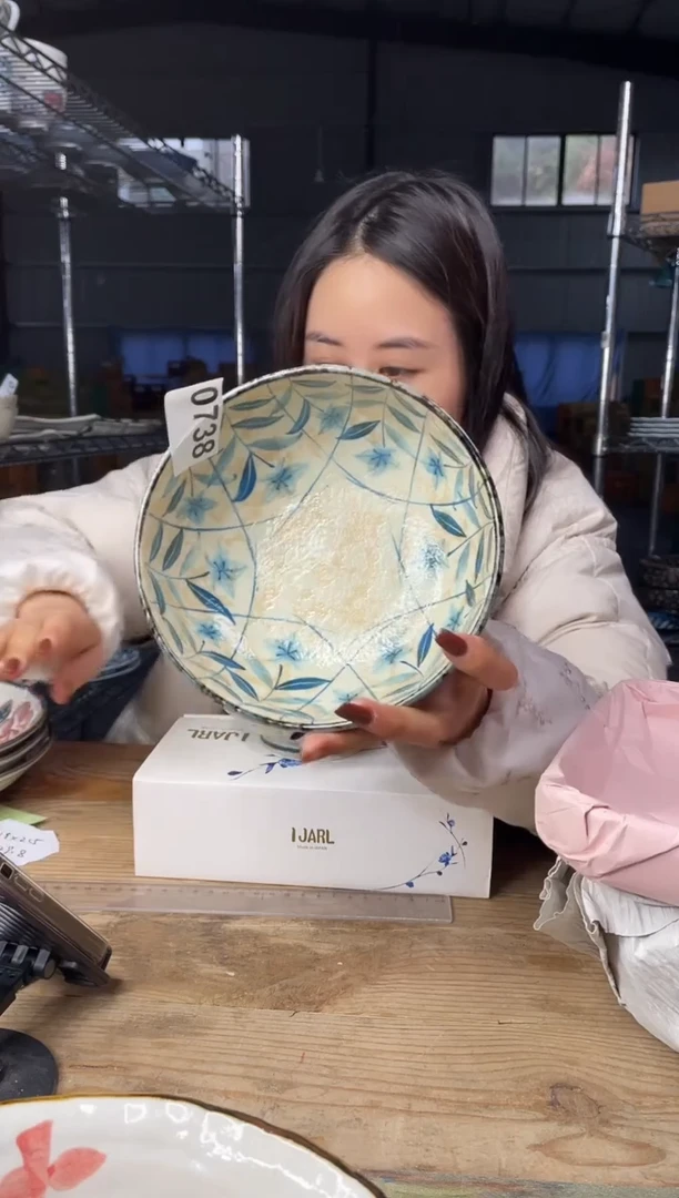 【闪购商品】瓷片738号         17*5.5