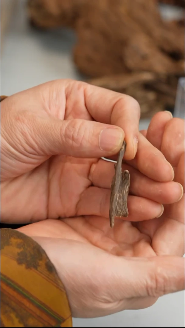 沉香沉香碎屑柬埔寨菩萨树心油0.98g