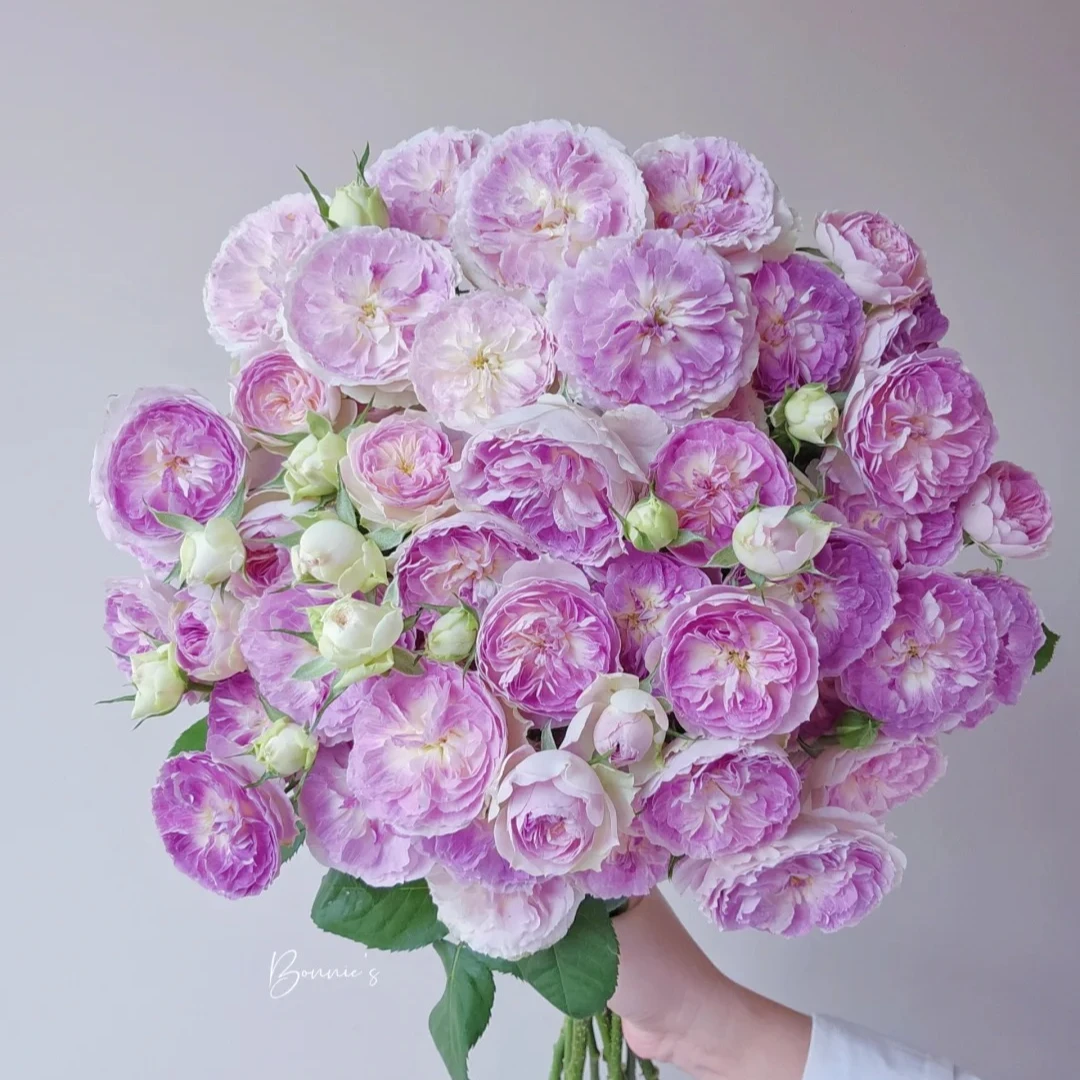 蓝月石【超稀有高级多头】不耐运输，必须凑单升级快递保护花材