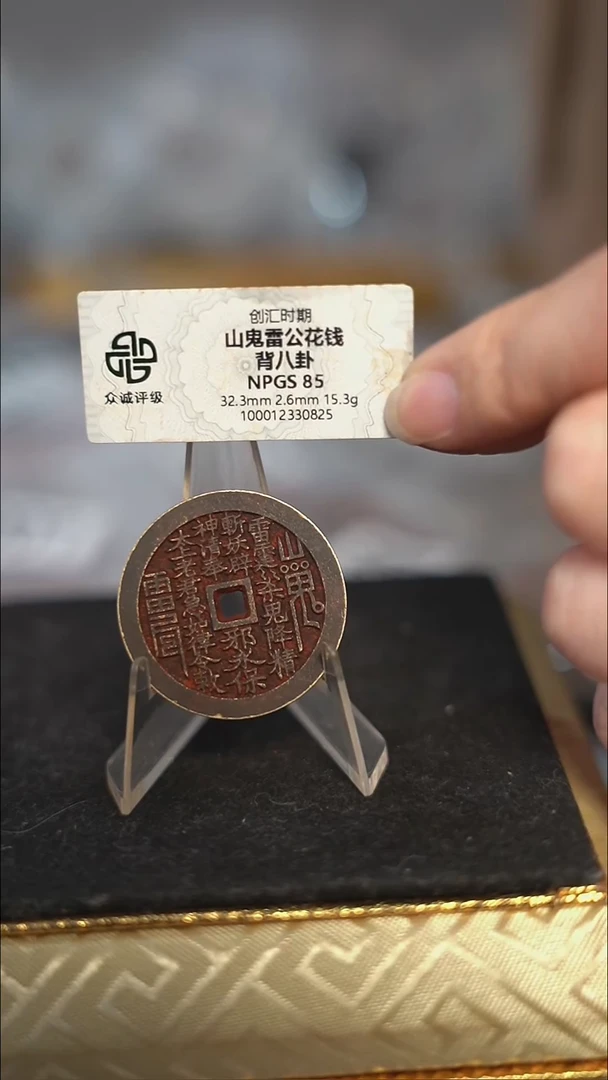 编号259山鬼背八卦（配脖挂）