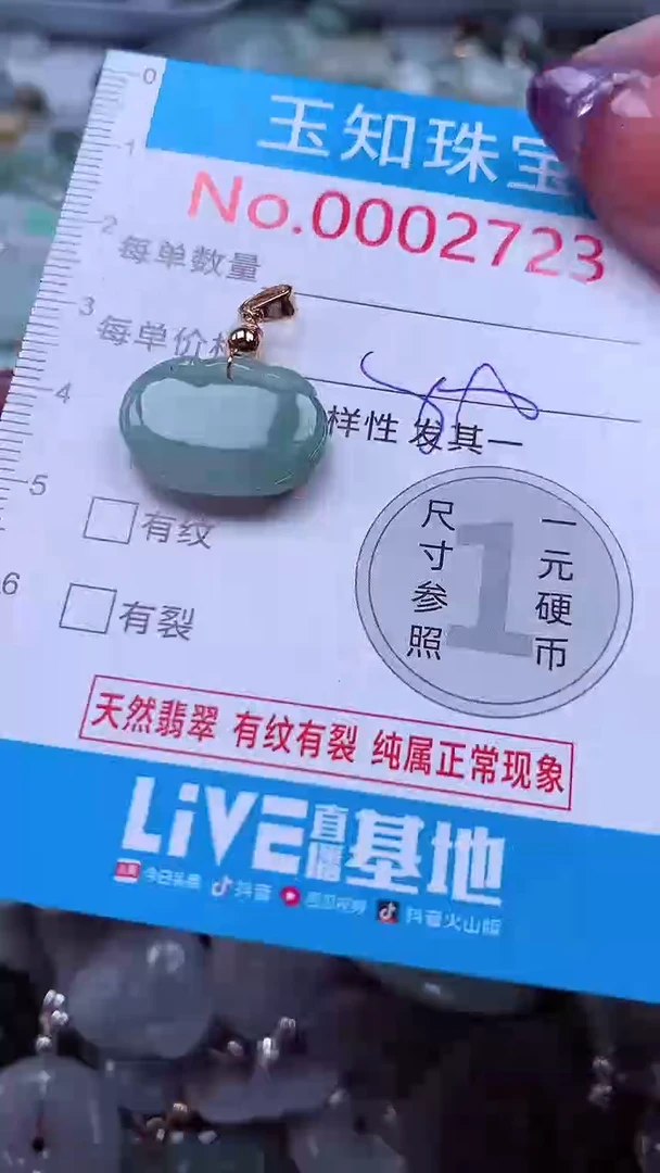 翡翠未镶嵌吊坠(不含链)2723