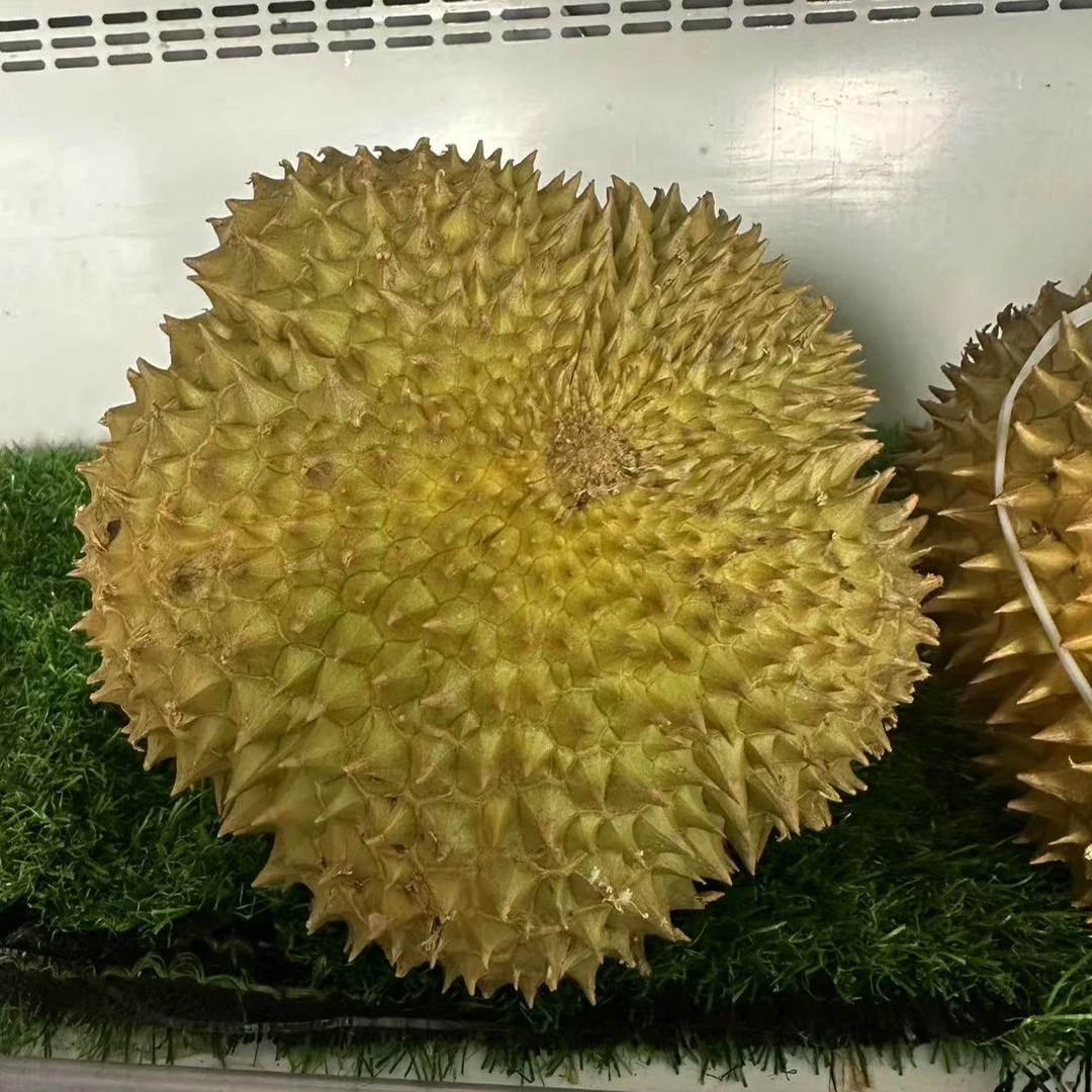榴莲400榴莲