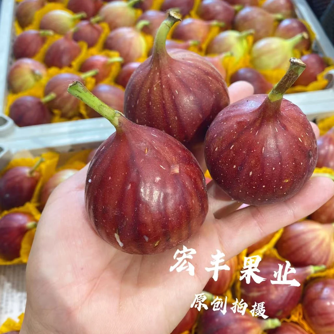 无花果1斤装