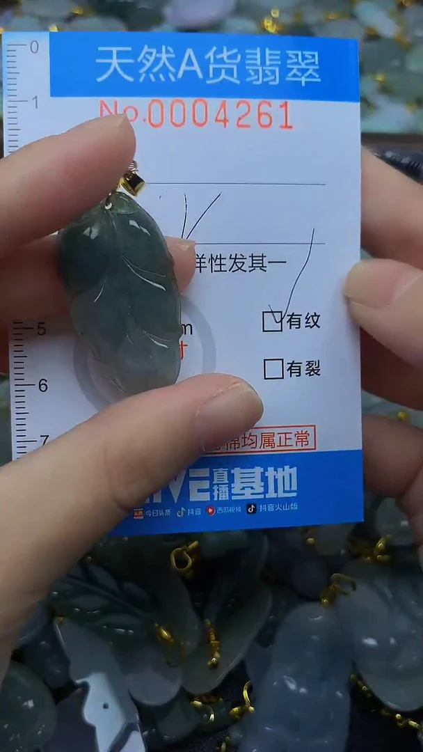 颈饰未镶嵌翡翠净货挂件-4261