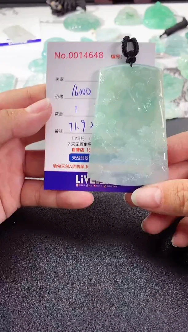 颈饰未镶嵌翡翠山水