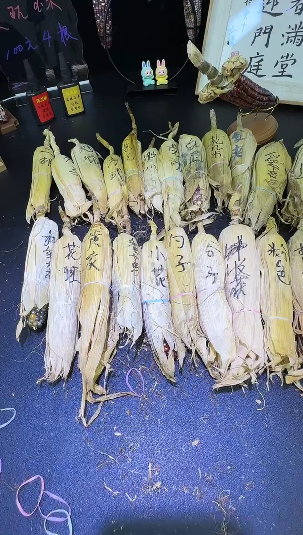 于*水红红火火恍恍惚惚哈哈哈哈