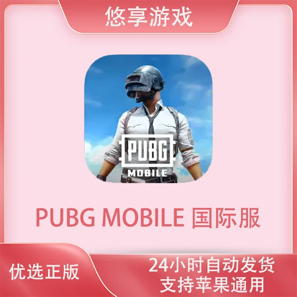 pubg PUBG MOBILE 国际服 刺激战场苹果游戏安装服务