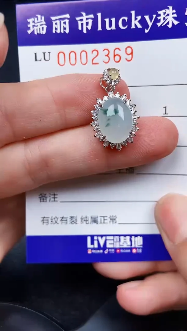 翡翠银S925镶嵌颈饰2369