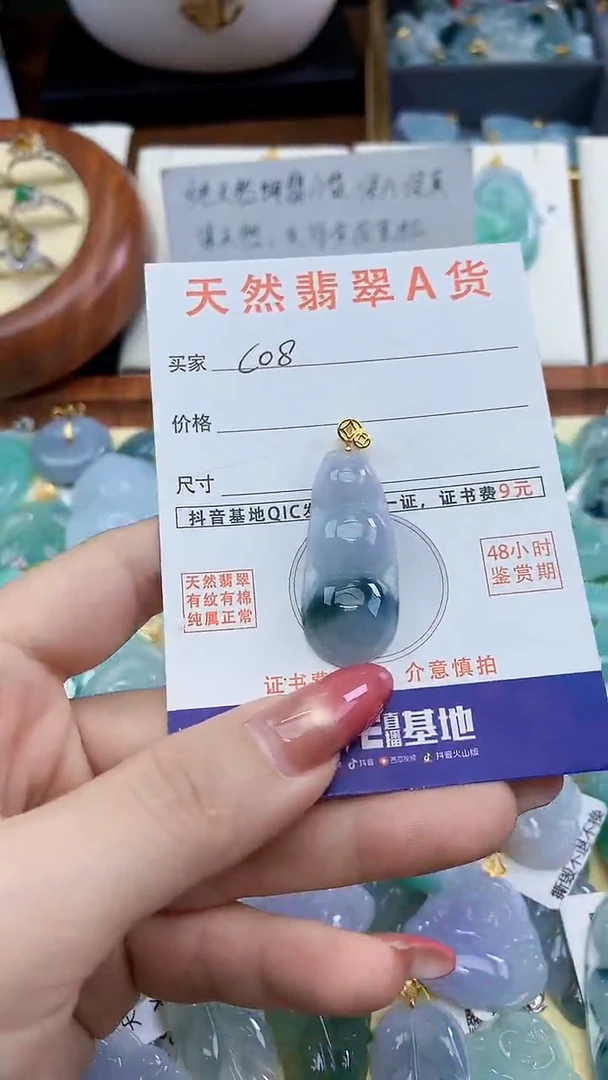 颈饰未镶嵌翡翠天然A货翡翠挂件