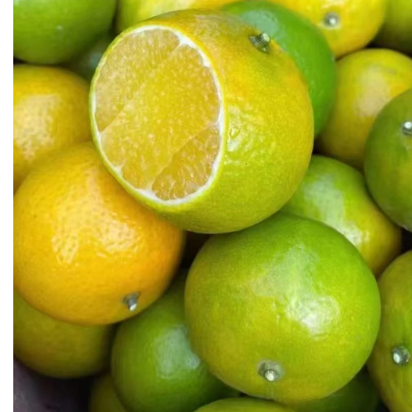 广西大果皇帝柑抖音助农纯甜无酸皮薄肉厚甘甜可口果园现摘现发