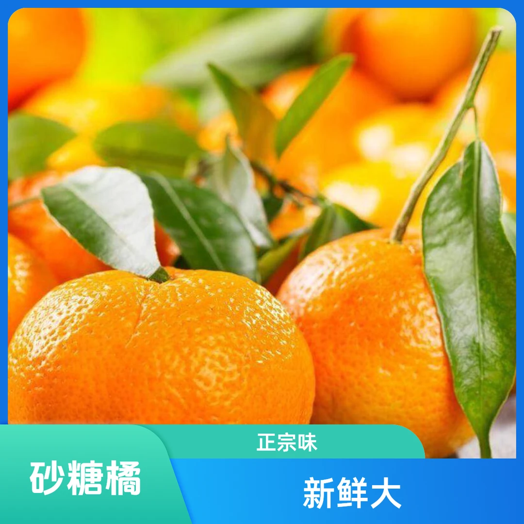砂糖橘 散称 约1.2-1.4斤/份四川省