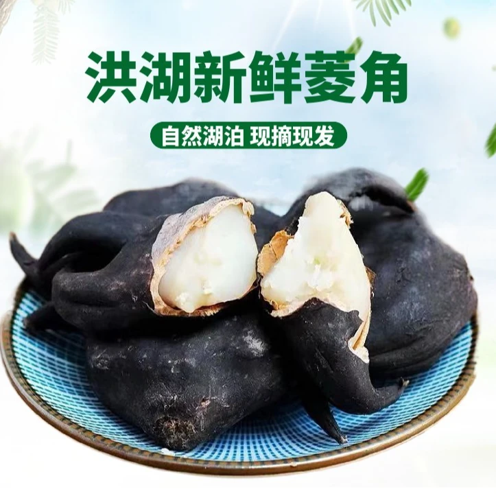 洪湖新鲜老菱角现摘现发湖北菱角农家特产新鲜蔬菜