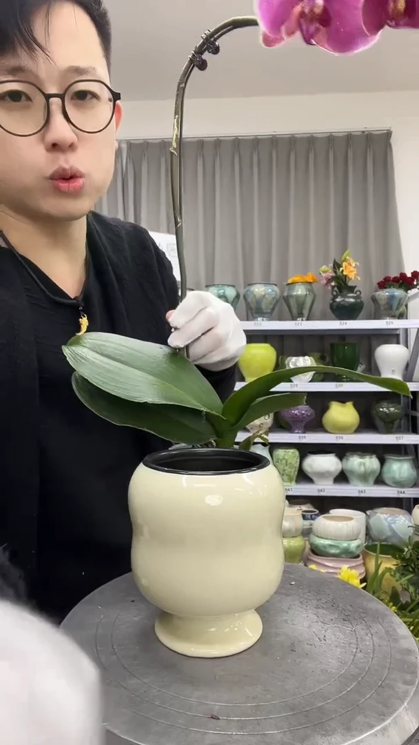 11.30陶瓷花盆直播链接高.      14口9