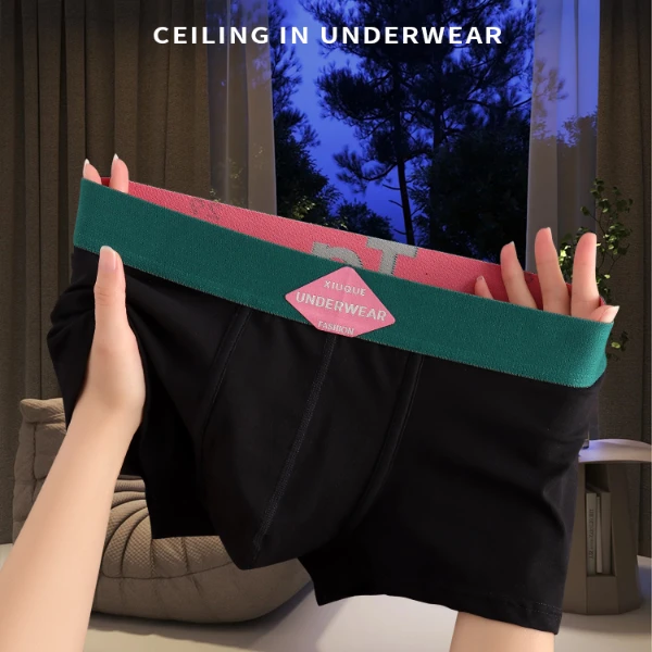 潮流轻奢男士内裤男款棉质透气平角裤个性短裤男生时尚四角底裤头