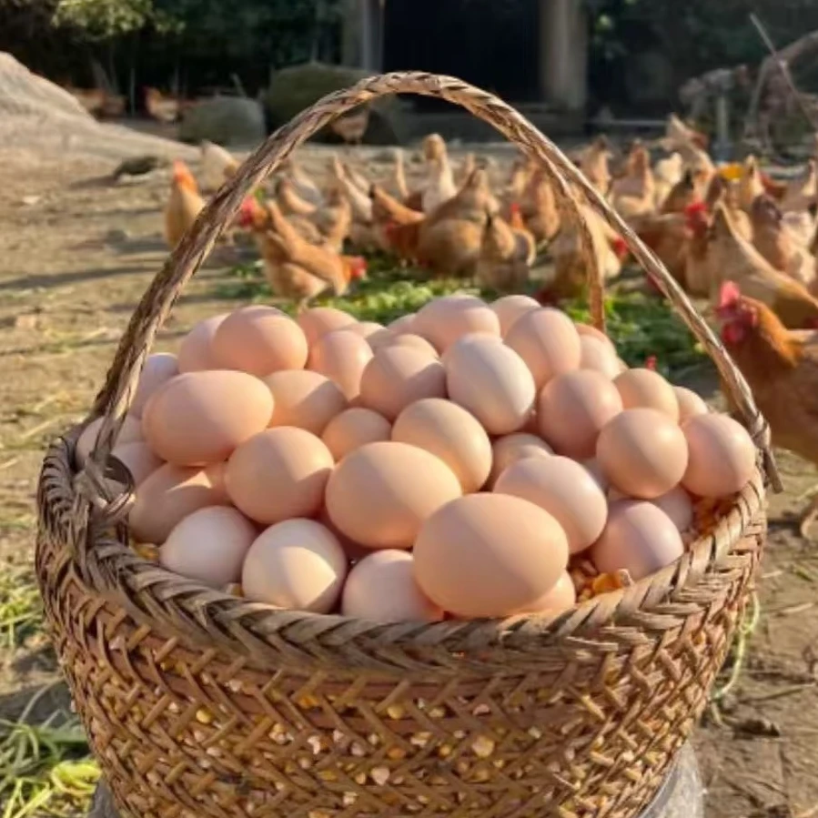 【买30枚送30枚土鸡蛋】正宗茅山散养谷物鸡蛋农家土鸡蛋现捡现发