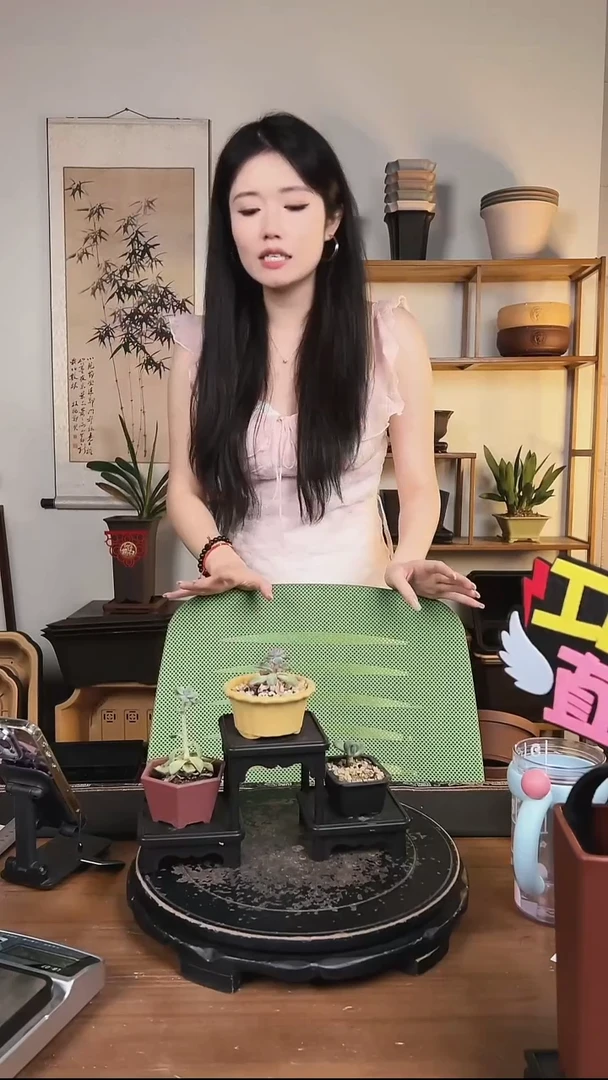 三连三台花架+三只迷你盆