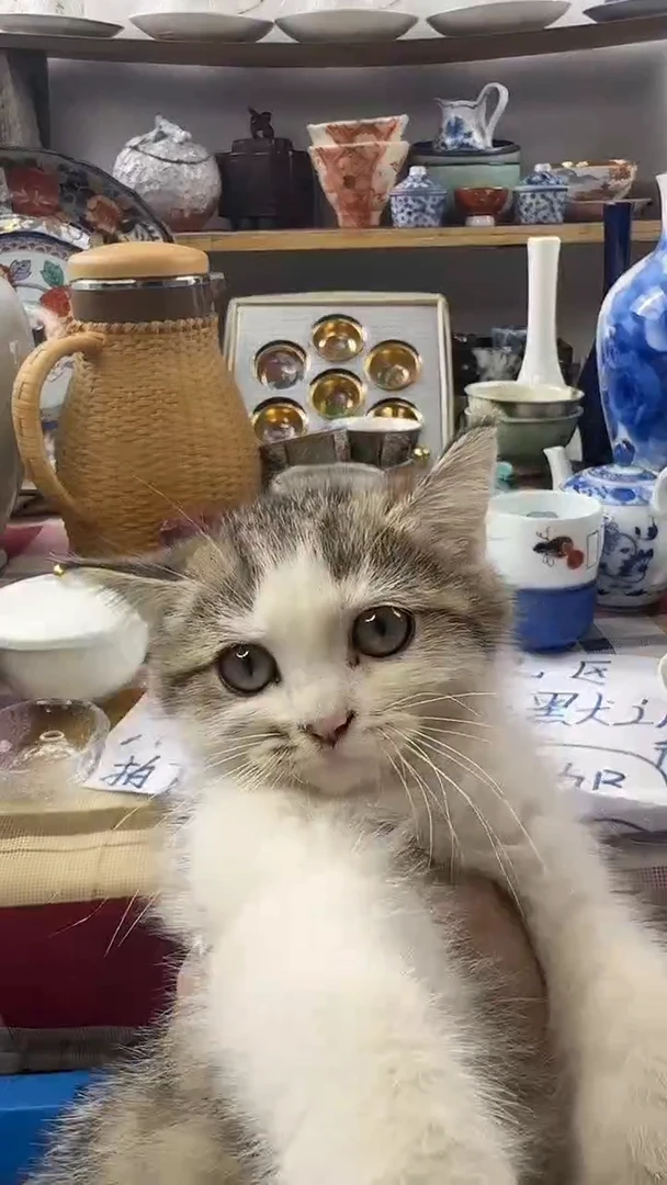 啊啊啊啊啊啊啊啊啊啊