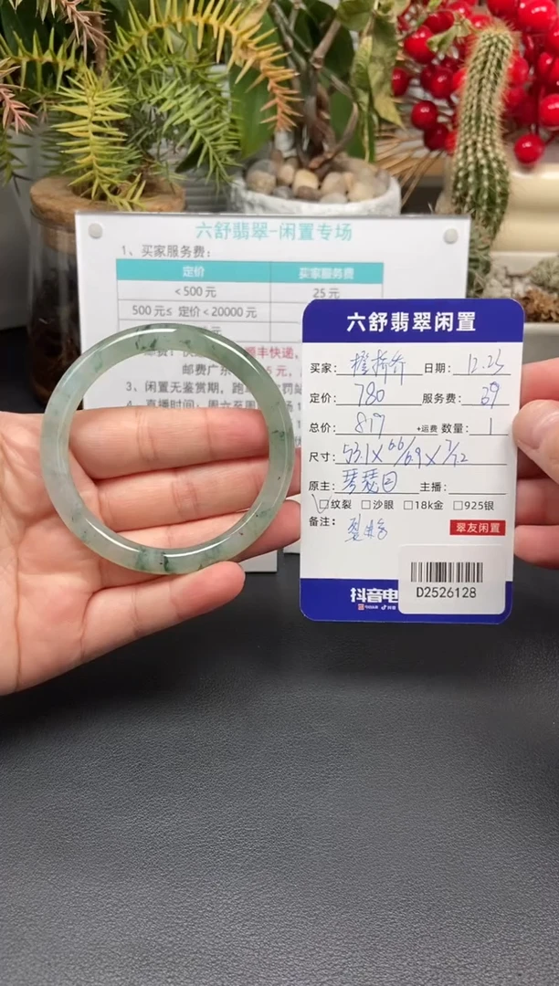 未镶嵌手镯翡翠橙****版D2526128
