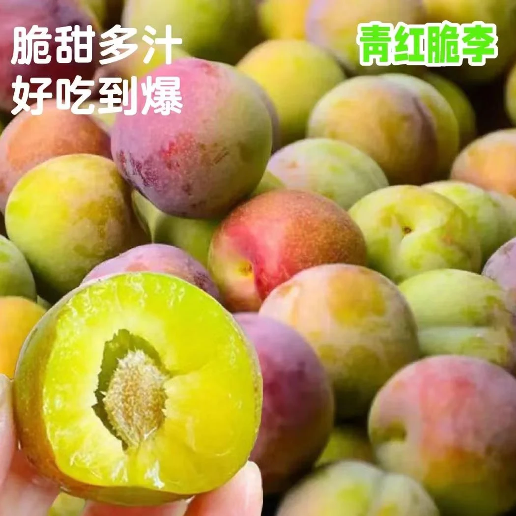 青红脆李500克清脆爽口水份多
