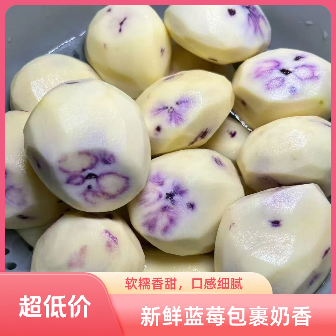 贵州高山乌洋芋新鲜美味口感独特紫皮土豆颜色浅