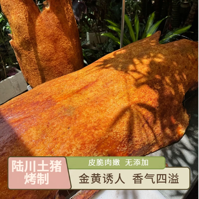 【买1斤送1斤】陆川烤全猪，土猪整只烤，加热即食抽真空顺丰冷链发货