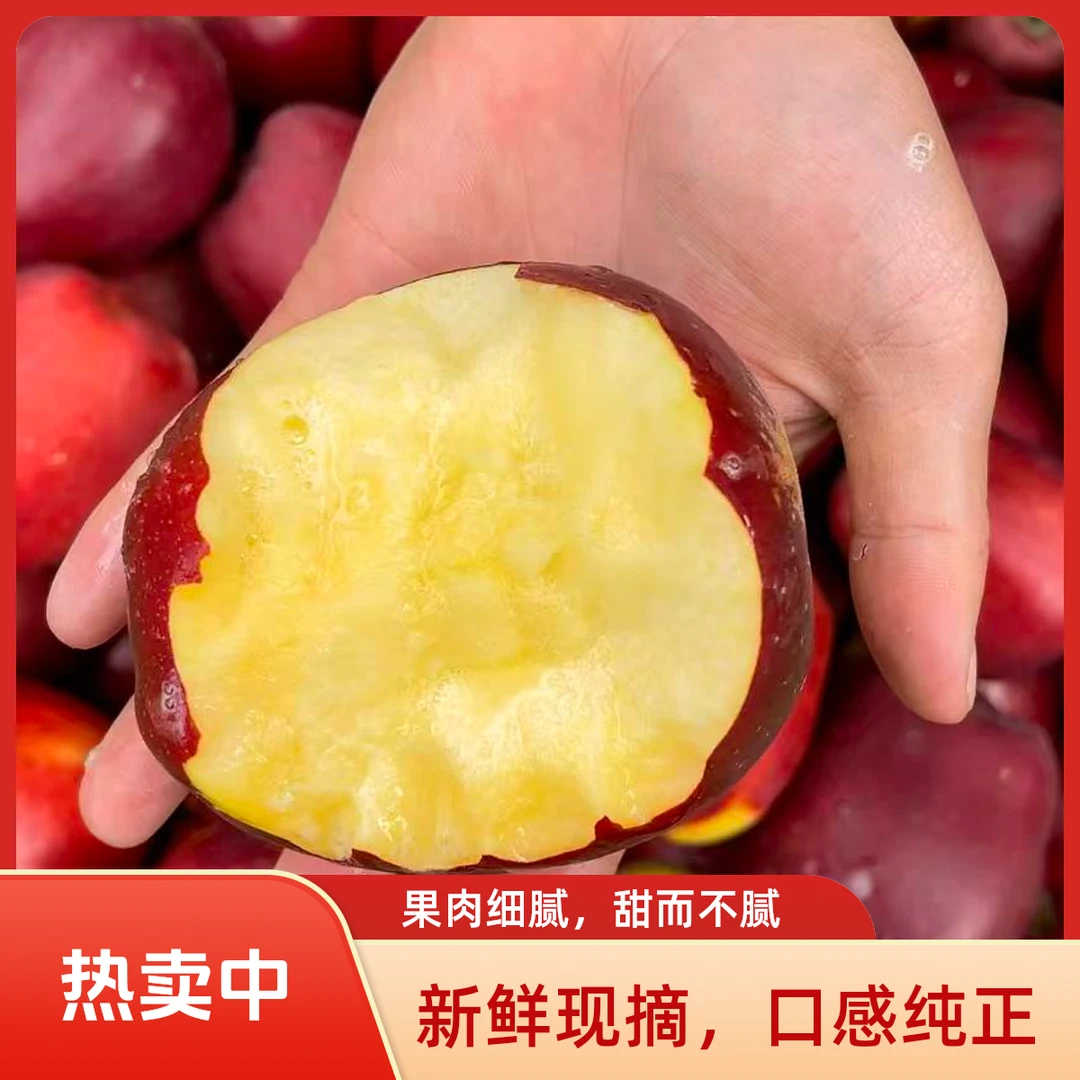 【金秋王】泸沽湖新鲜现摘金秋王苹果脆甜多汁（坏果包赔）