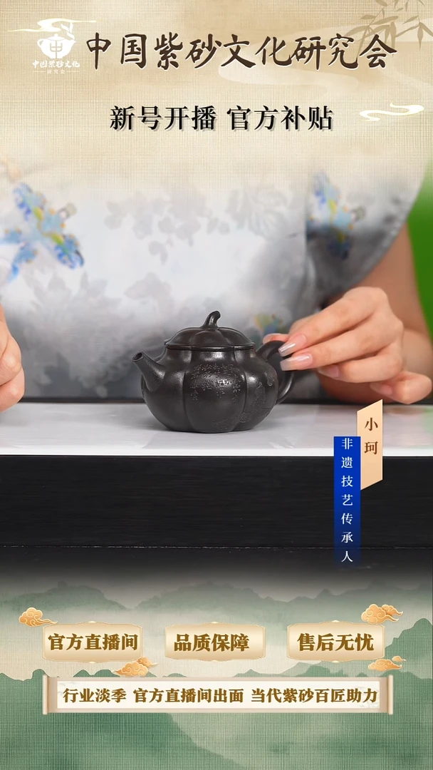 茶壶紫砂陶茶文化齐  紫墨羡玉砂160cc左右