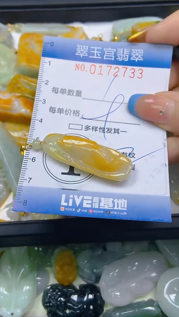 翡翠未镶嵌颈饰闪购0172733