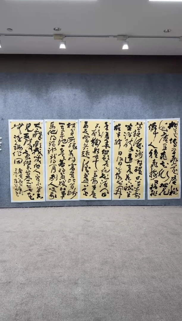 【闪购商品】书法pmw不二轩旗舰店书法CJL18