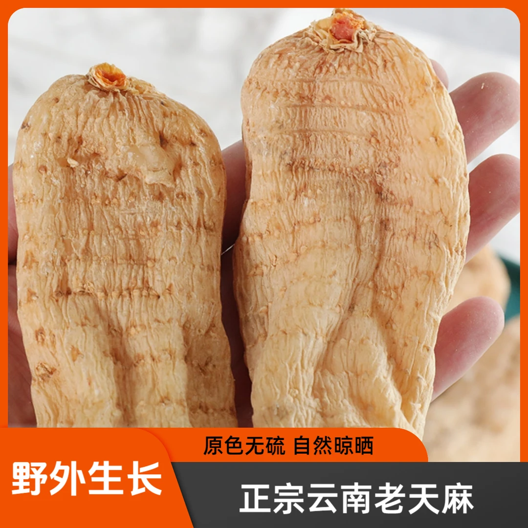 【云南老品种天麻】本色天麻昭通小草坝天麻正品正宗天麻跟川芎白芷