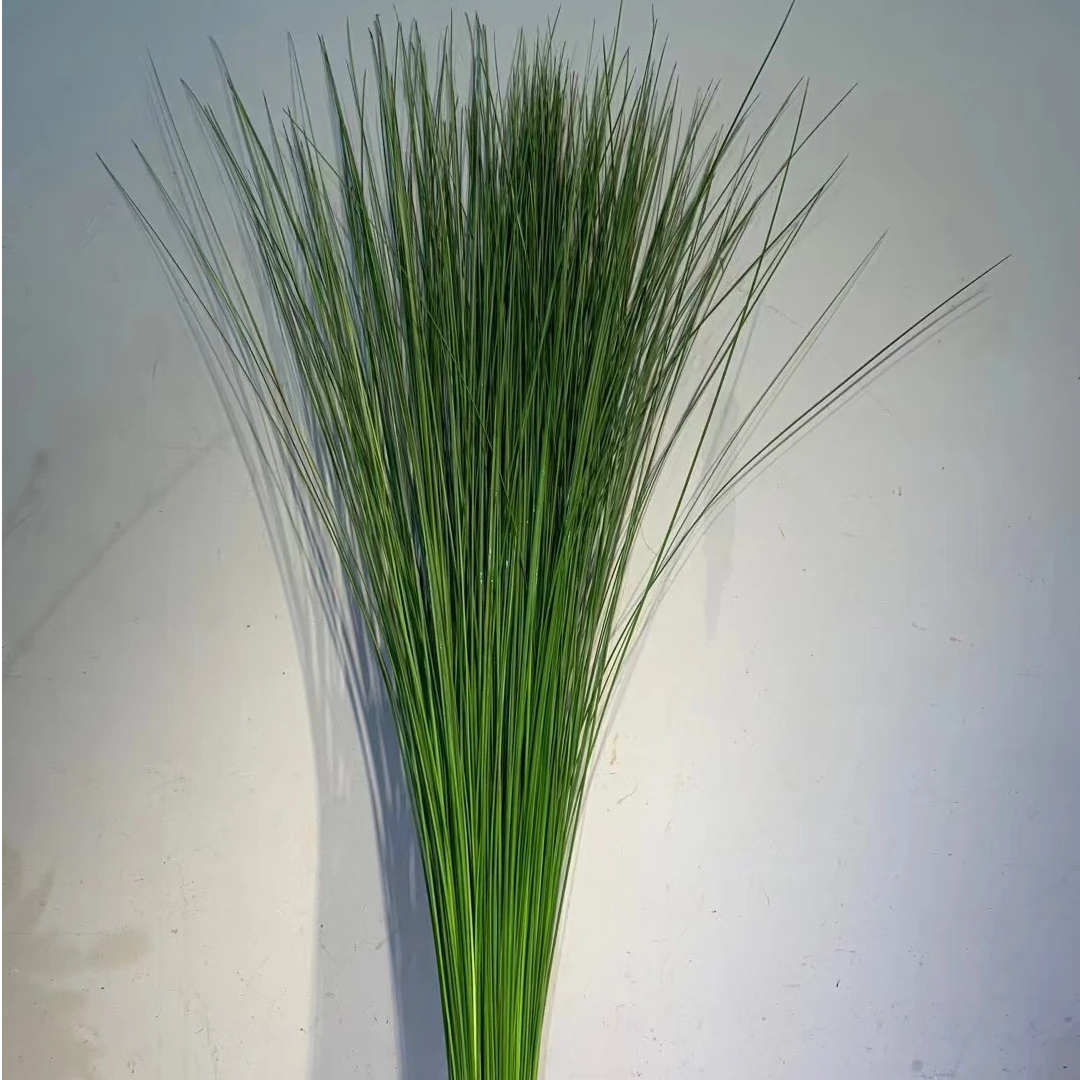 鲜切花配草【刚草】/1扎40支左右/花艺