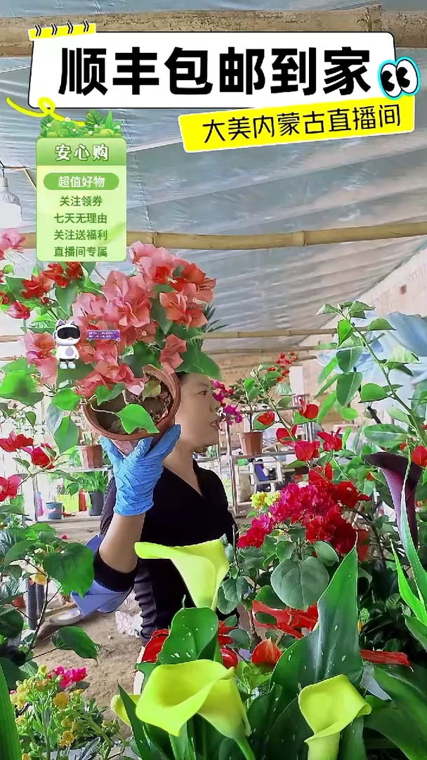 完全开放不甜西瓜顺丰包邮