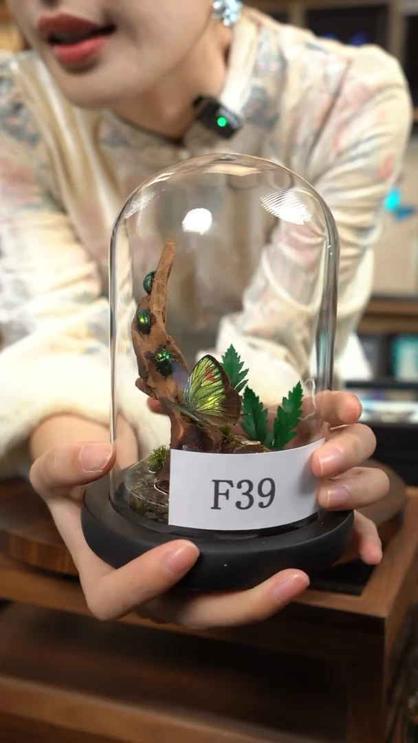 蝴蝶造景款玻璃罩f39