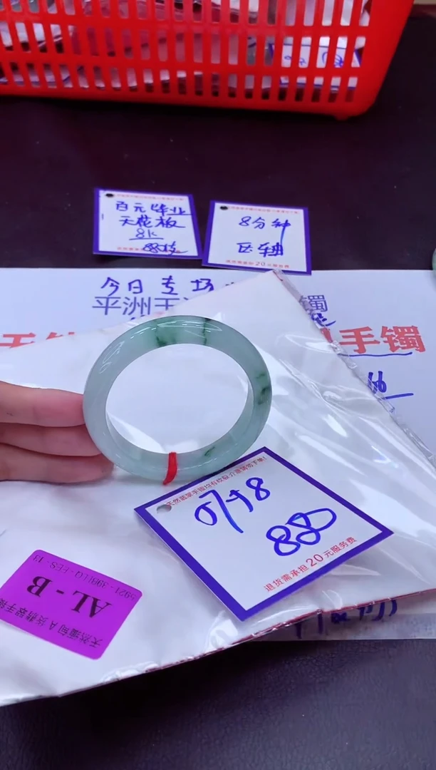 未镶嵌手镯翡翠11111111
