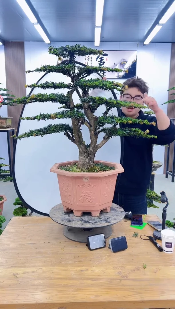 以实际为准000000000000