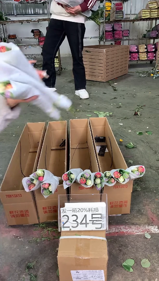 234号♥中通含20%耗损发一箱