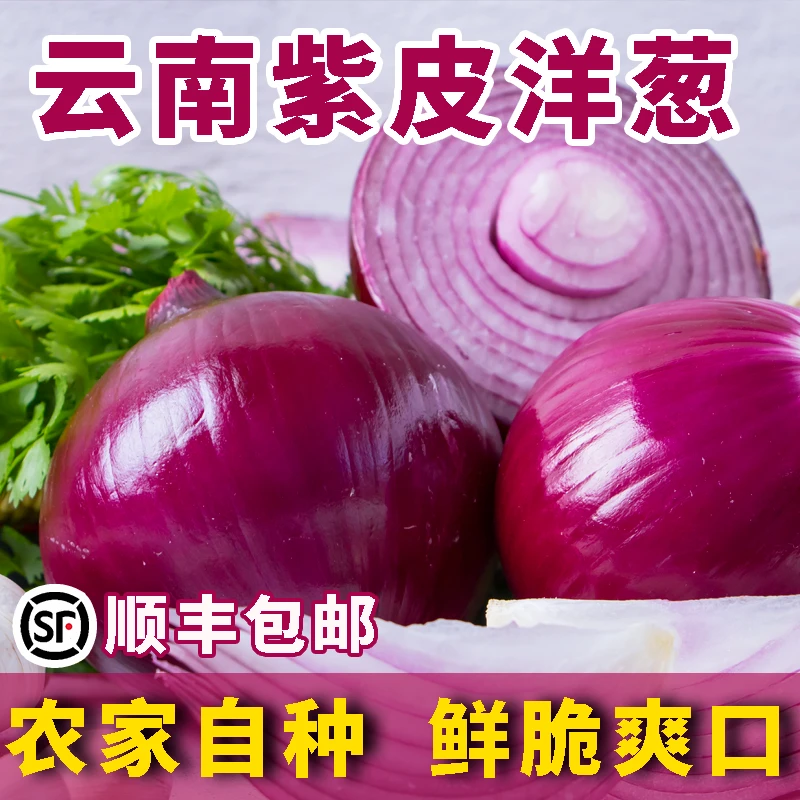 【顺丰包邮】云南高山紫皮新鲜现挖现发洋葱紫皮红洋葱蔬菜