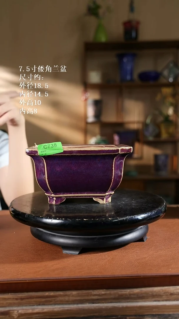 7.5寸倭角兰盆738