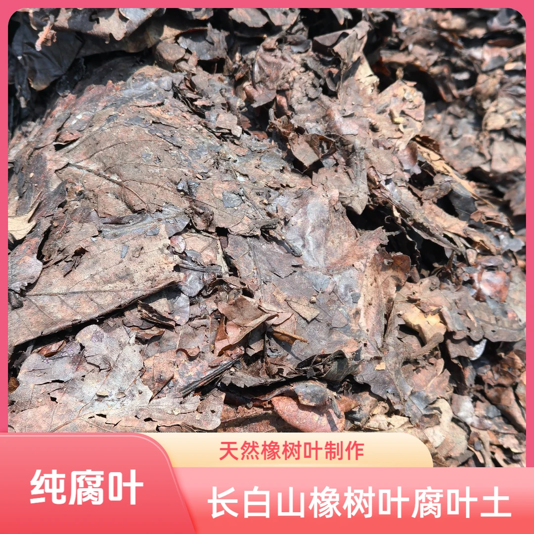长白山橡树叶腐叶土（纯腐叶）潮湿发货