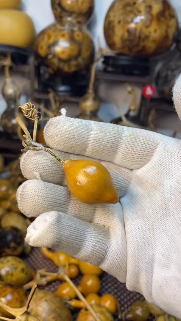 【闪购商品】葫芦葫芦葫芦葫芦